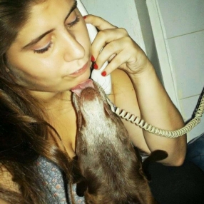 Florencia Ayelen, Babysitter in Caseros