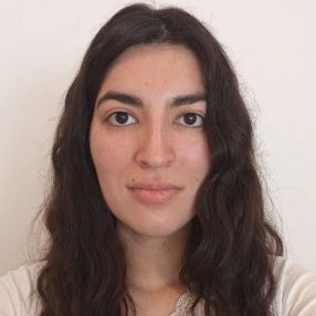 Diane, Babysitter in Rosario