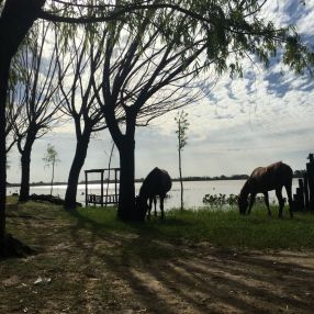 Milagros, Familia en Bella Vista