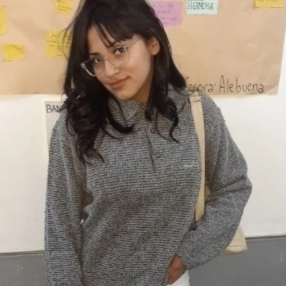 Erica, Niñera en Cuartel V