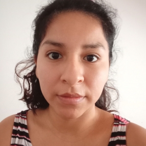 Silvia natalia, Babysitter in Palpalá