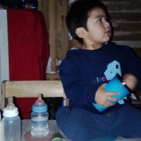 Leonardo, Family in Gerli