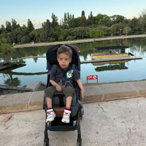 Vanesa cintia, Familia en Loma Verde