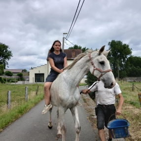Kayley, Babysitter in Geraardsbergen