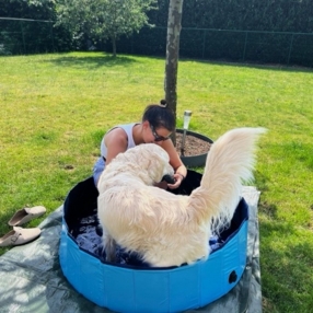 Lieze, Babysit in Diest