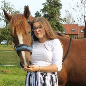 Dieuwke, Babysitter à Zandhoven