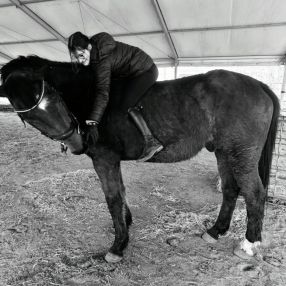 Nataschia, Babysit in Poperinge