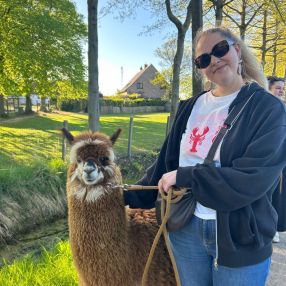 Marlies, Babysit in Merelbeke-Melle
