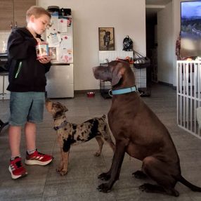 Tinne, Famille à Dendermonde