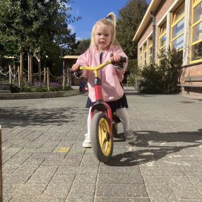 Xavier, Famille à Tielt