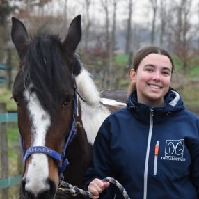 Marie-Lise, Babysit in Temse