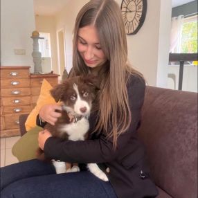 Manon, Babysitter à Éghezée