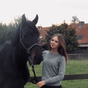 Febe, Babysit in Harelbeke