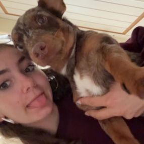 Yanina, Babysit in Meerhout