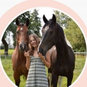 Chica, Babysit in Zwevegem