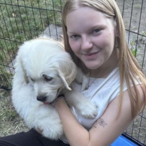 Bo, Babysitter à Grimbergen