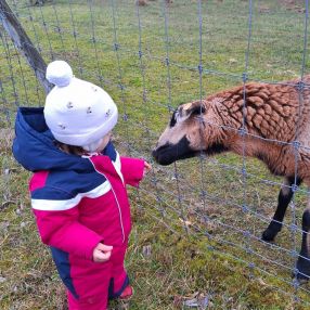 Franziska, Gezin in Dilbeek