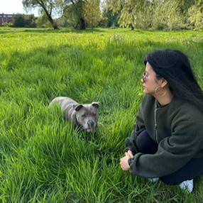Shan, Babysitter à Antwerpen