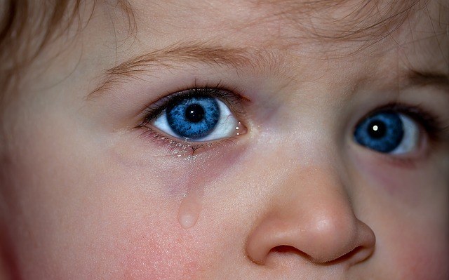 Trastorno de ansiedad por separación en niños lágrimas