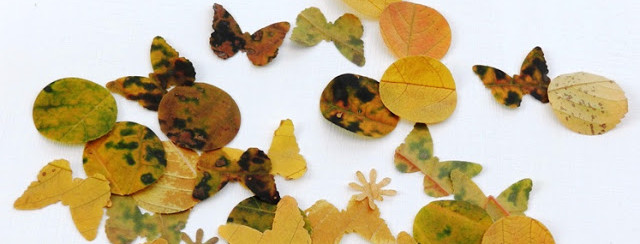 ponsen met herfstbladeren