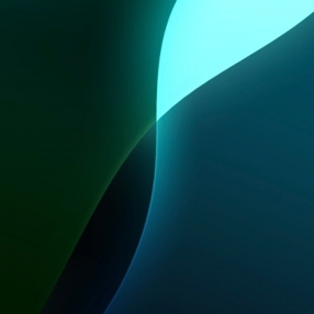 Carlos Tiago, Família em Viçosa