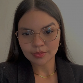 Lyandra, Babysitter in Curitiba