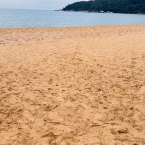 Ana, Família em Porto Belo