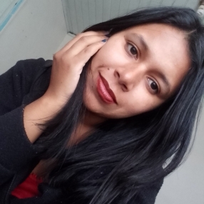 Ana Paula de araujo, Babá em Lages