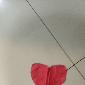 Tai, Família em Barra Mansa