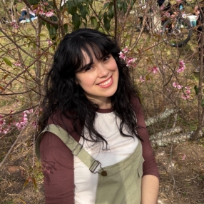 Evelyn, Babysitter in Santo André