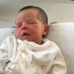 Desirée, Família em Novo Hamburgo
