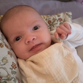 Paula, Família em Timbó