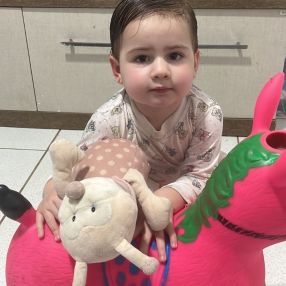 Estela, Família em Chapecó
