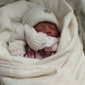 Felipe, Família em Feira de Santana
