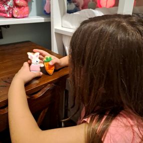 CINTHIA, Família em Passo Fundo