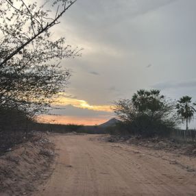 Alex, Família em Tauá