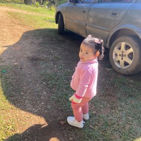 Miquele, Família em Almirante Tamandaré