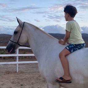 Aunícia, Família em Caruaru