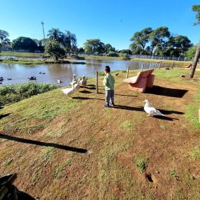 Aline, Família em Campo Grande