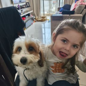 Marcella, Família em Bauru