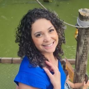 Denise cristina, Babysitter in São José