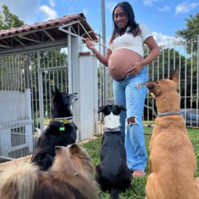 Cachorro Urbano Pet Care, Família em Porto Alegre