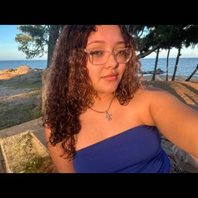 Dienyfer, Babysitter in São Lourenço do Sul