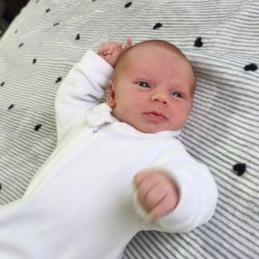 Daniel, Família em Palhoça
