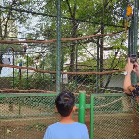 Jonas, Família em Varginha
