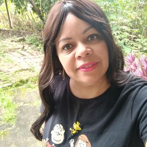 Cristiane aparecida da Silva lopes de, Babá em Barra do Piraí