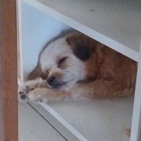 Gabrielle, Família em Colombo