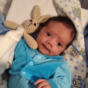 Egon, Família em Campo Largo