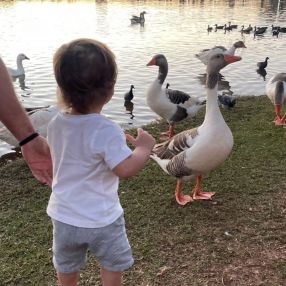 Gustavo, Família em Três Lagoas