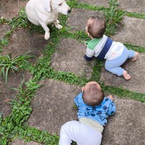 Sergio, Família em Campo Magro